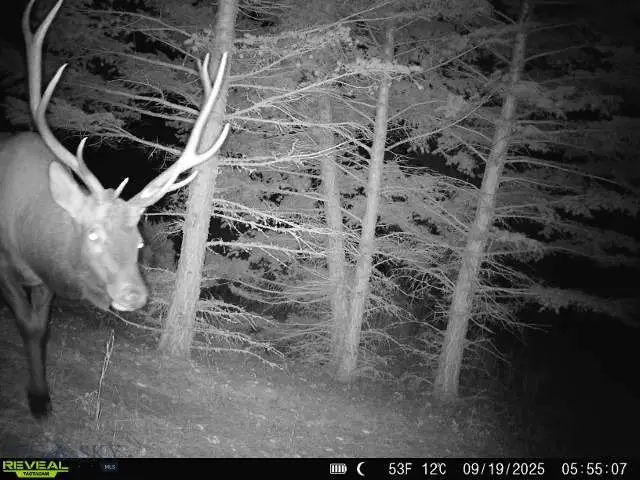 TBD Maiden Road, Lewistown, MT 59457 - #3