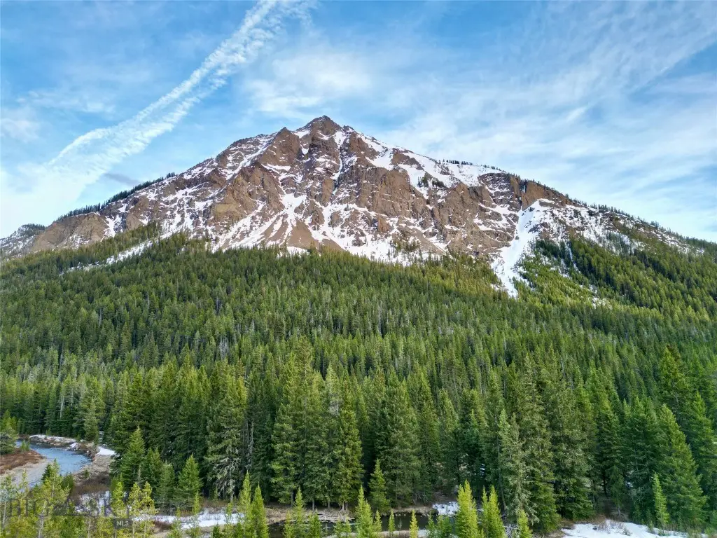 TBD Larson Lane, Silver Gate, MT 59081 - #1