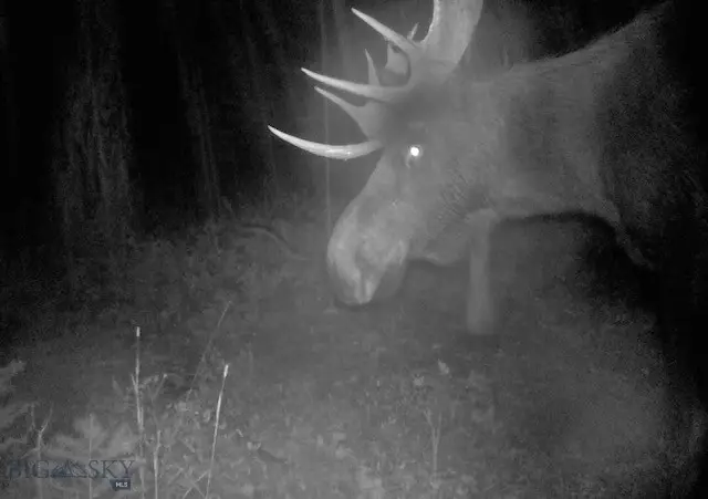 TBD Maiden Road, Lewistown, MT 59457 - #3