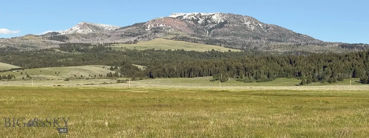 TBD South Valley Road, Lima Centennial Valley, MT 59724 - #1