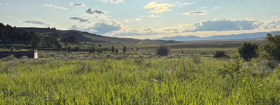 TBD South Valley Road, Lima Centennial Valley, MT 59724 - #2