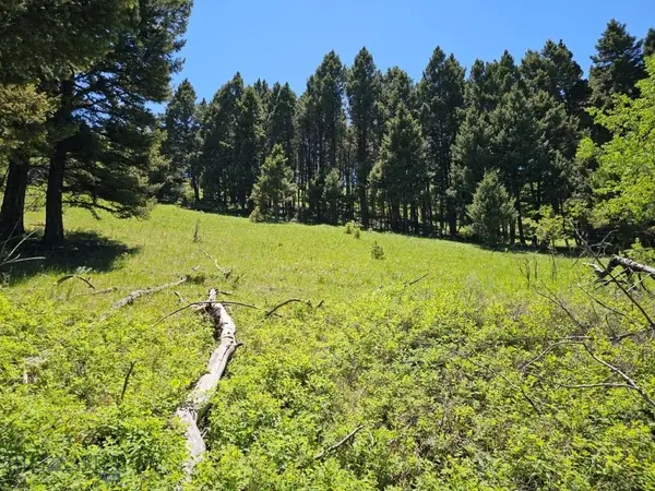 TBD Corbin Road, Jefferson City, MT 59638