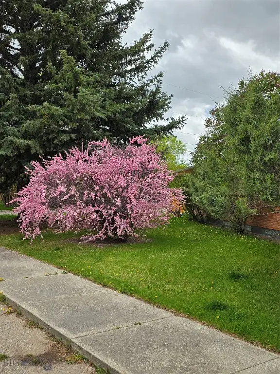 606 S Arizona, Dillon, MT 59725 - #2