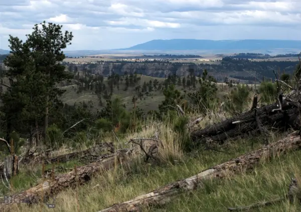 tbd Wild Turkey Ridge Road, Columbus, MT 59019