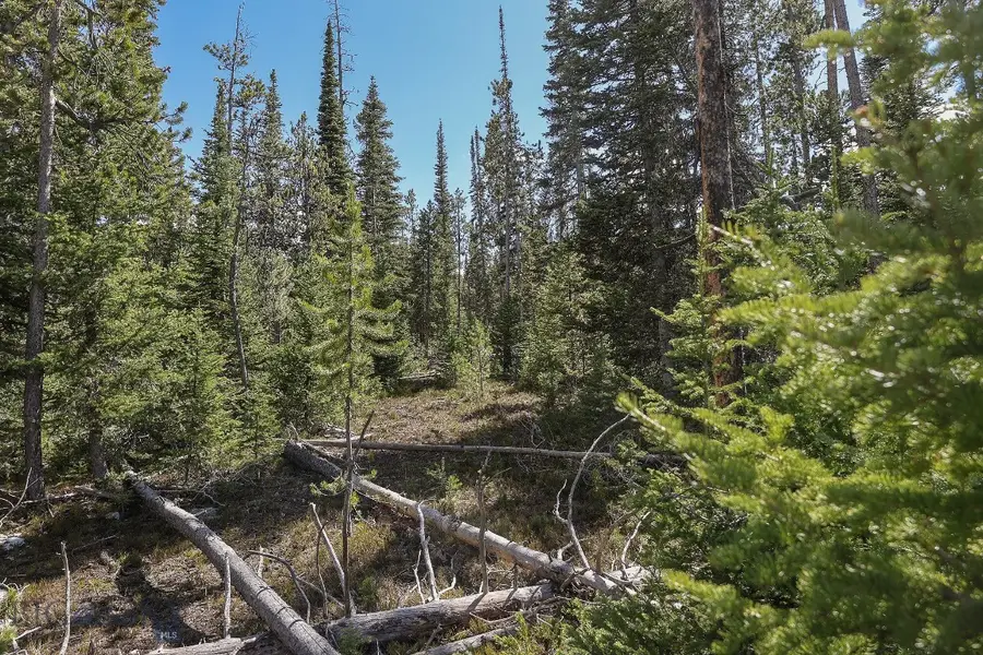 tbd W Beaver Creek, Big Sky, MT 59716 - #3