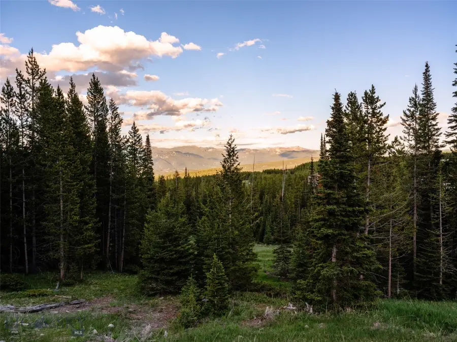 Lot 16 Eagle View Trail, Big Sky, MT 59716 - #3