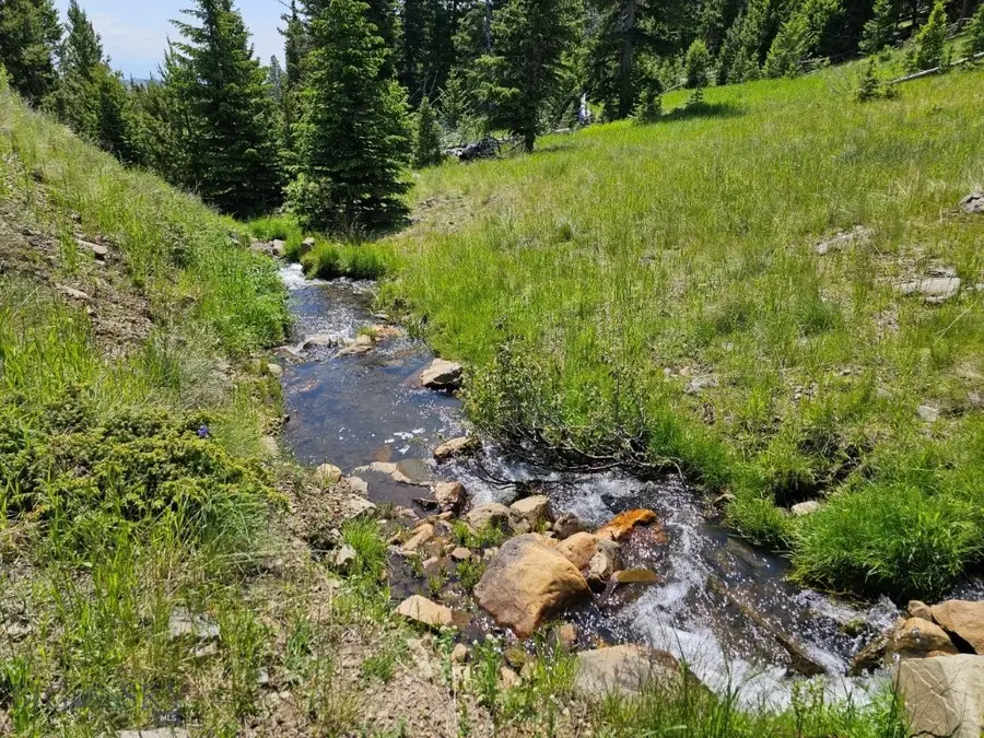 New Era Indian Creek, Townsend, MT 59644 - #2