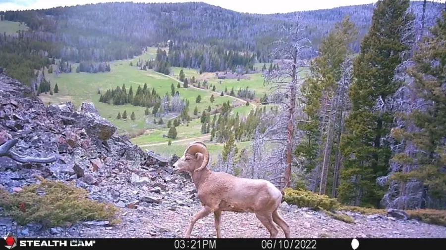TBD Indian Creek Road, Townsend, MT 59644 - #2