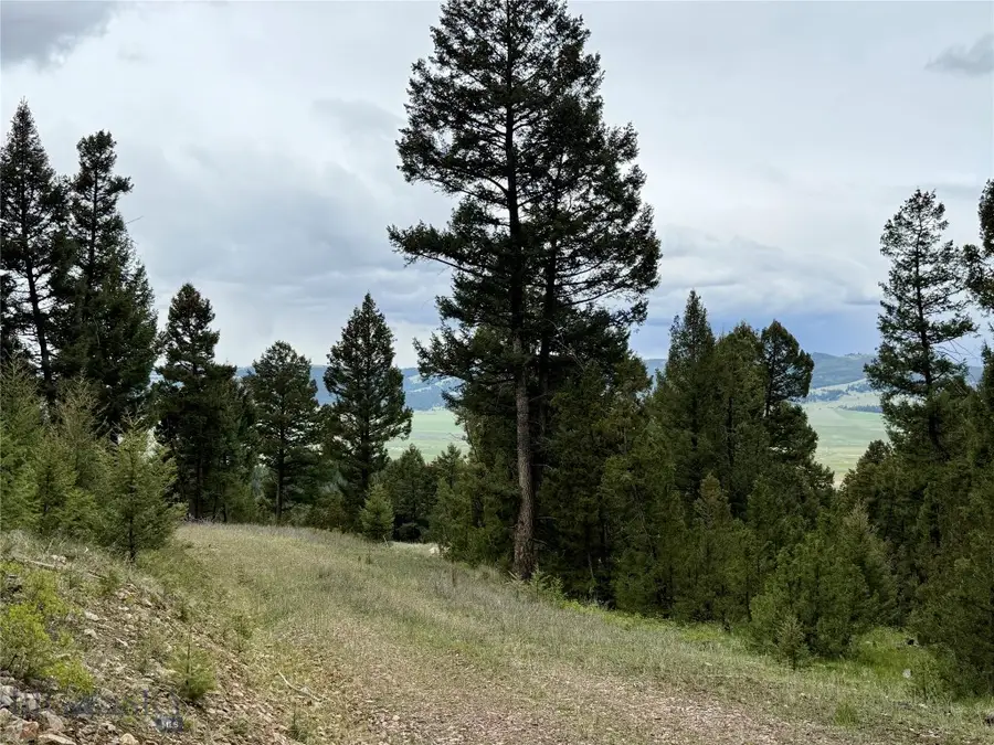 130 Granite Road, Philipsburg, MT 59858 - #3