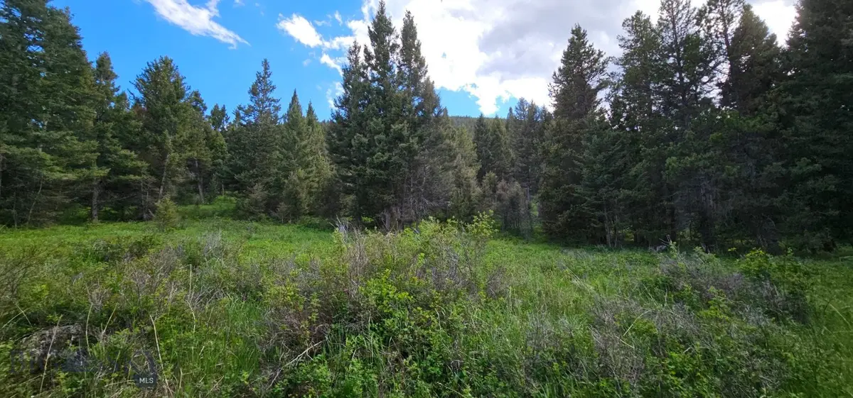 11 Tract, Hall Creek, Helmville, MT 59843 - #1