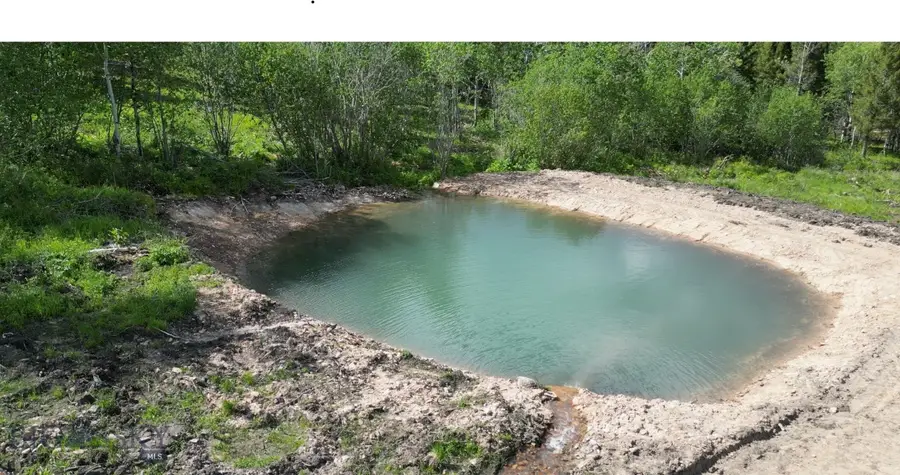 8 Tract, Hall Creek, Helmville, MT 59843 - #3
