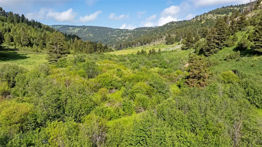 TBD Willow Creek N Fork Road, Livingston, MT 59047 - #3