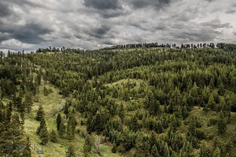 TBD Woodchuck Road, Bozeman, MT 59715 - #2