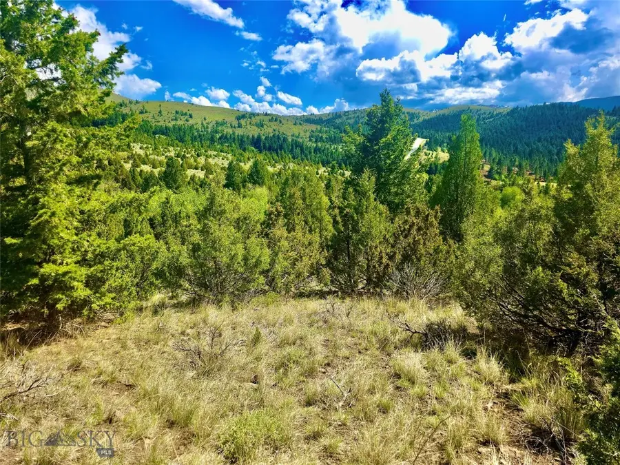 Block 172 Lot 1 - 12, Virginia City, MT 59755 - #2