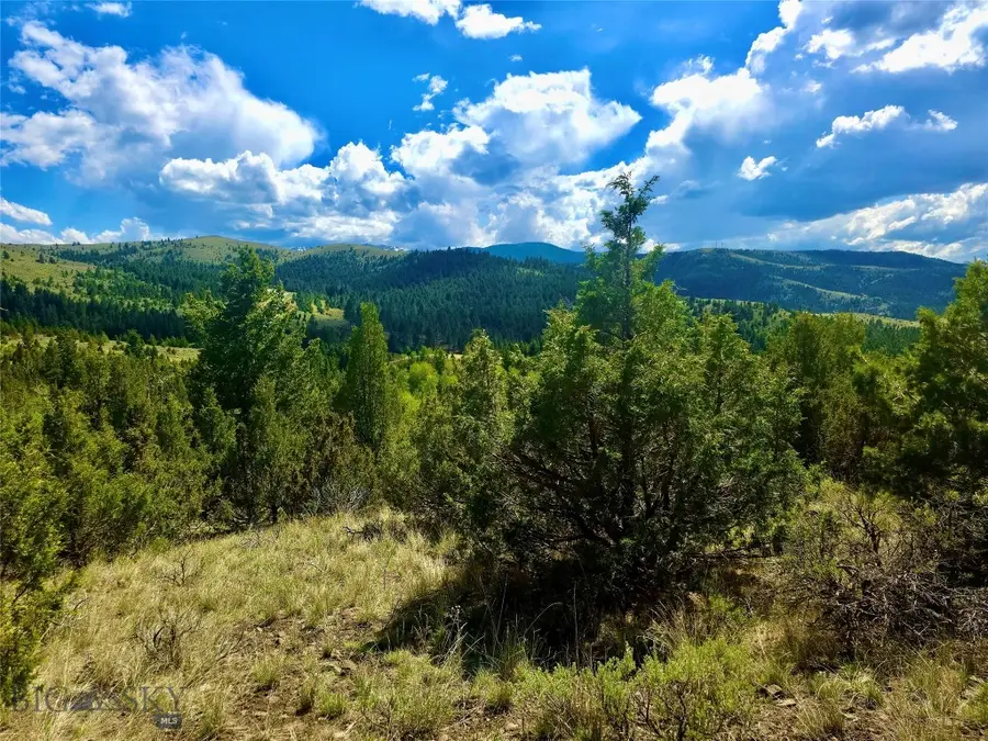Block 172 Lot 1 - 12, Virginia City, MT 59755 - #3