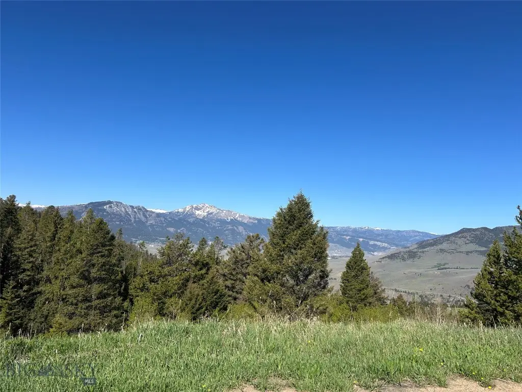 384 Crevice Road, Jardine, MT 59030 - #1