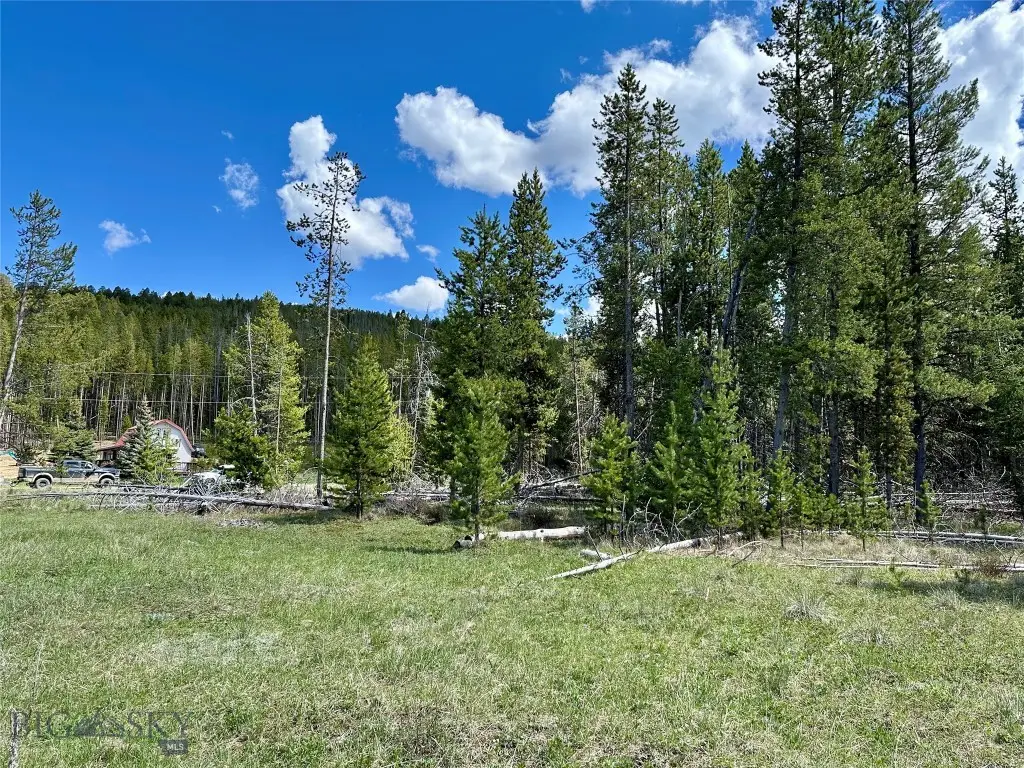 Lot 47 Lodgepole Lane W, Anaconda, MT 59711 - #1
