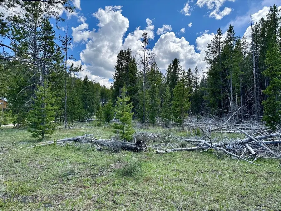 Lot 47 Lodgepole Lane W, Anaconda, MT 59711 - #2