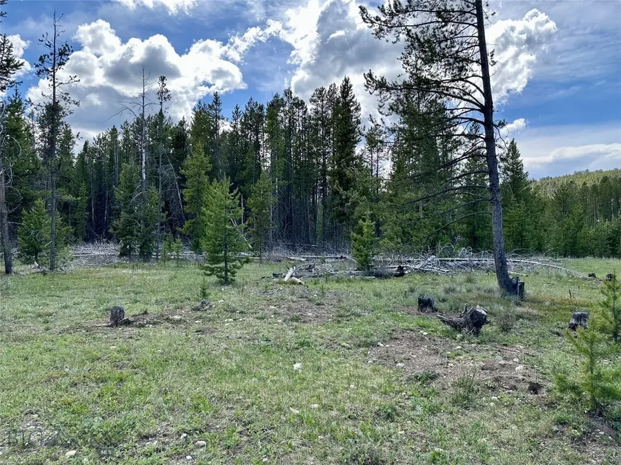 Lot 47 Lodgepole Lane W, Anaconda, MT 59711 - #3