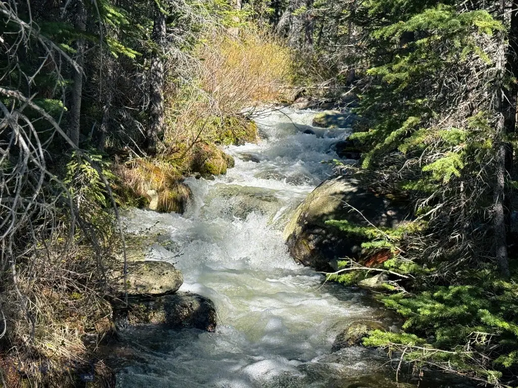 970 Lower Clear Creek Trail, Anaconda, MT 59711 - #1