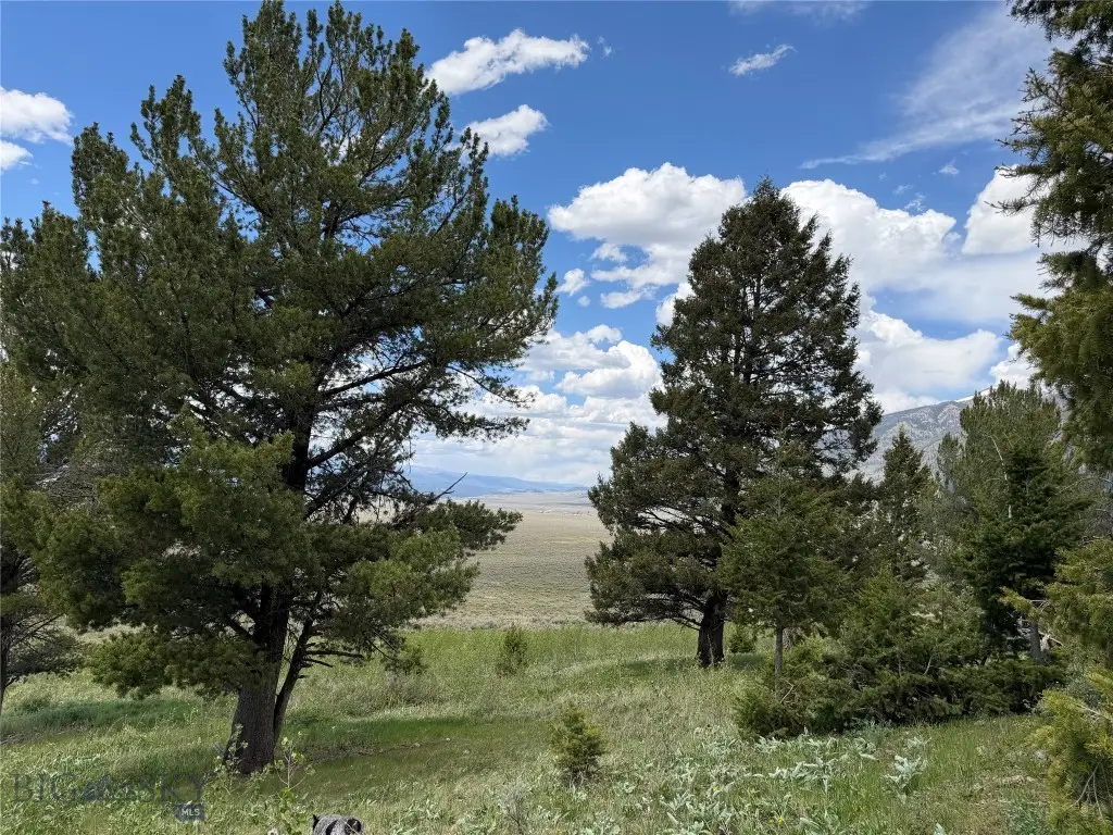 Parcel 2 & 4A Continental Divide Rd, Cameron, MT 59720 - #1
