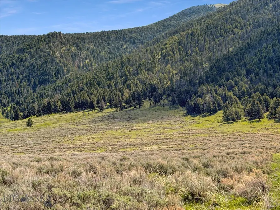 Parcel 2 & 4A Continental Divide Rd, Cameron, MT 59720 - #3