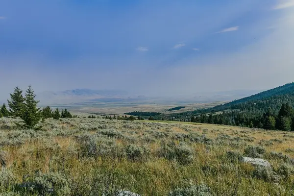 Address Withheld By Seller, Dillon, MT 59725
