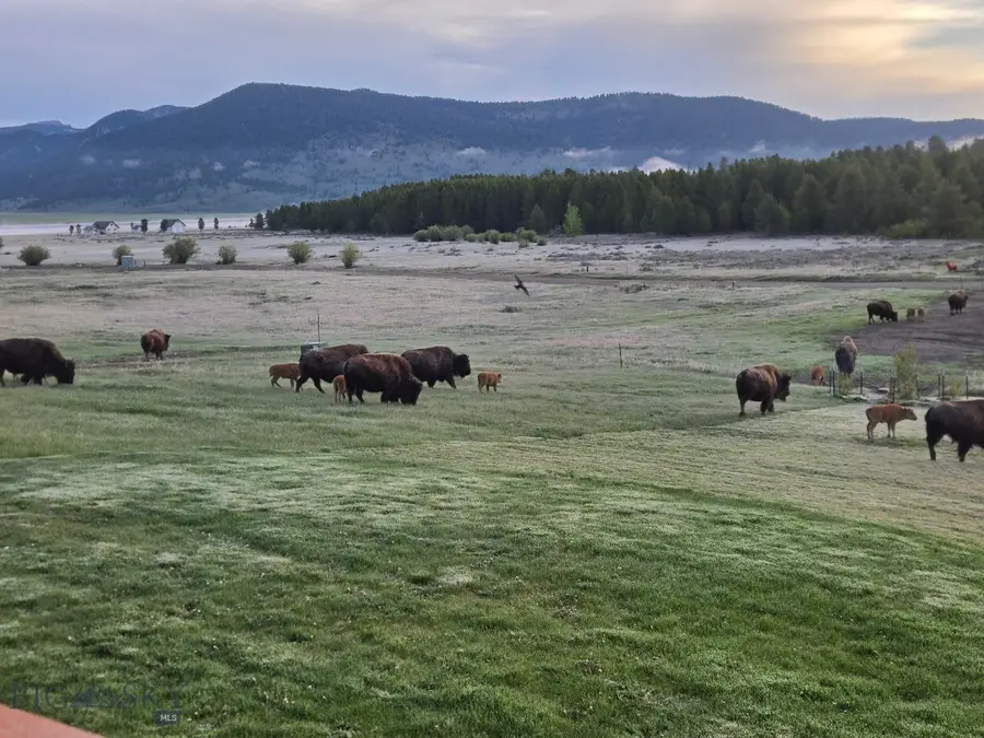 356 Buffalo Drive, West Yellowstone, MT 59758 - #3