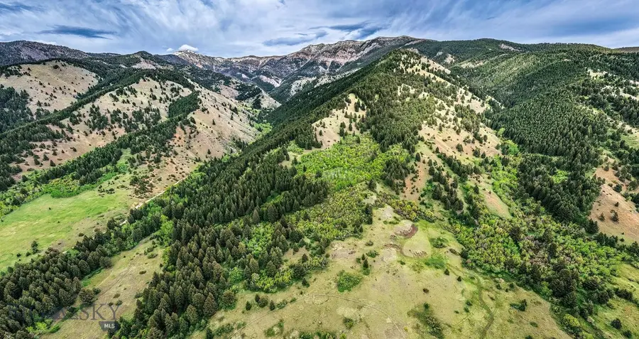 9440 Saddle Mountain Road, Bozeman, MT 59715 - #3