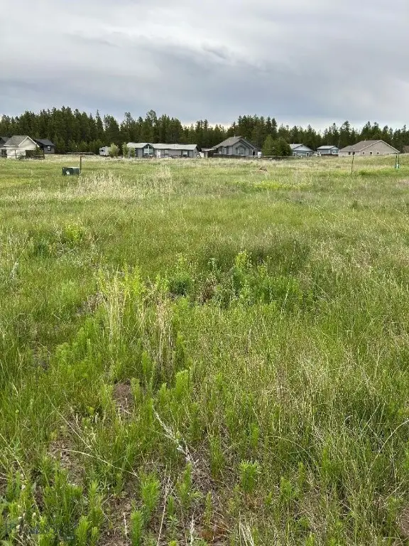 TBD Buffalo Drive, West Yellowstone, MT 59758