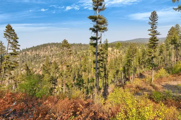 6300 Camas Creek Road, Bonner, MT 59823
