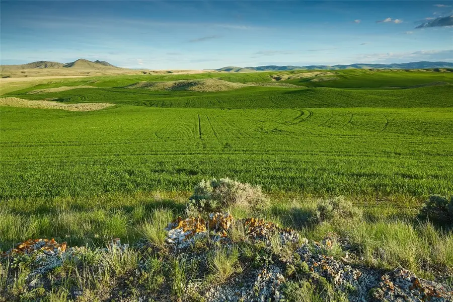 TBD Shoddy Springs Road, Three Forks, MT 59752 - #3