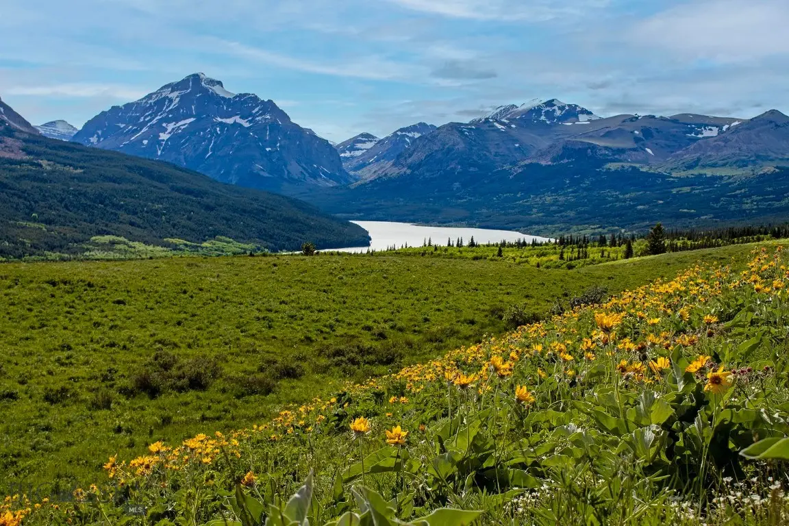 TBD Highway 49, Blackfeet Reservation, MT 59434 - #1