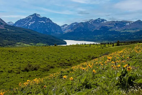 TBD Highway 49, , MT 59434