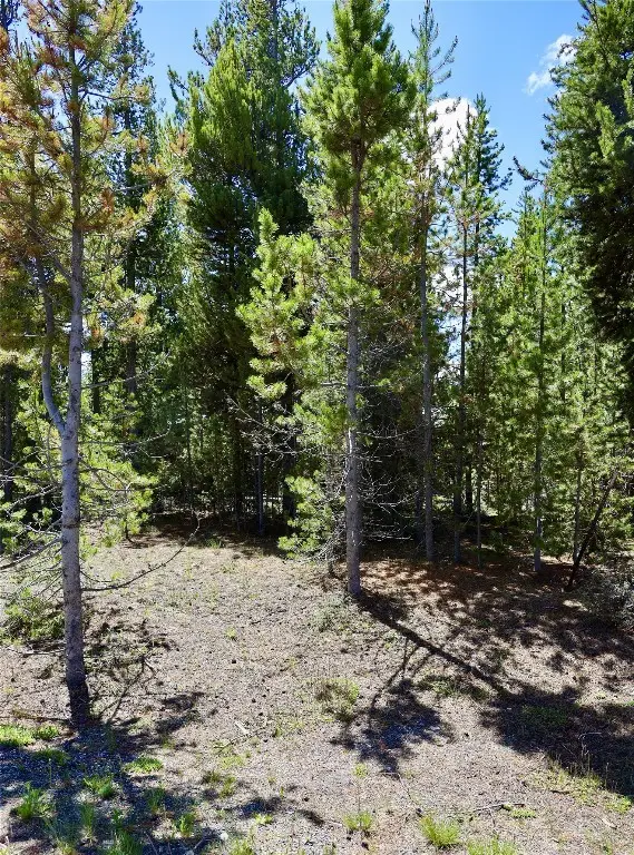 616 Apollinaris Avenue, West Yellowstone, MT 59758 - #2