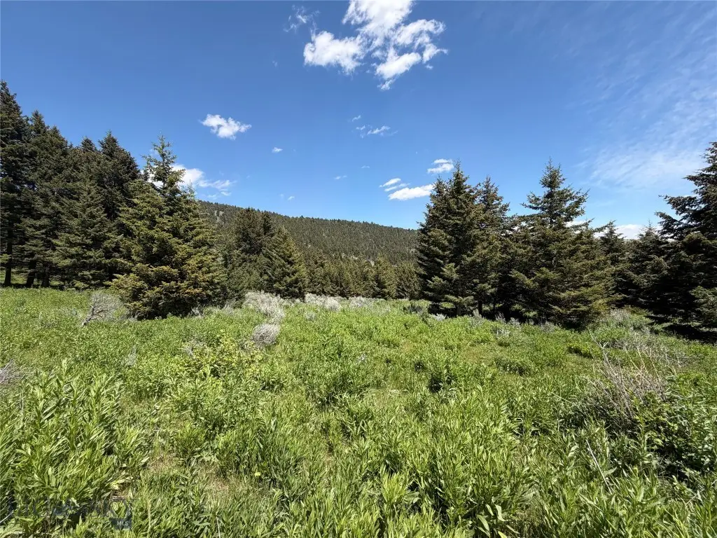 NHN Castle Town Road, White Sulphur Springs, MT 59645 - #1