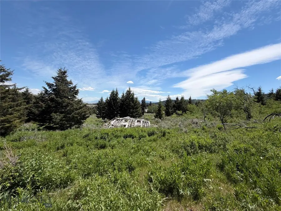 NHN Castle Town Road, White Sulphur Springs, MT 59645 - #2