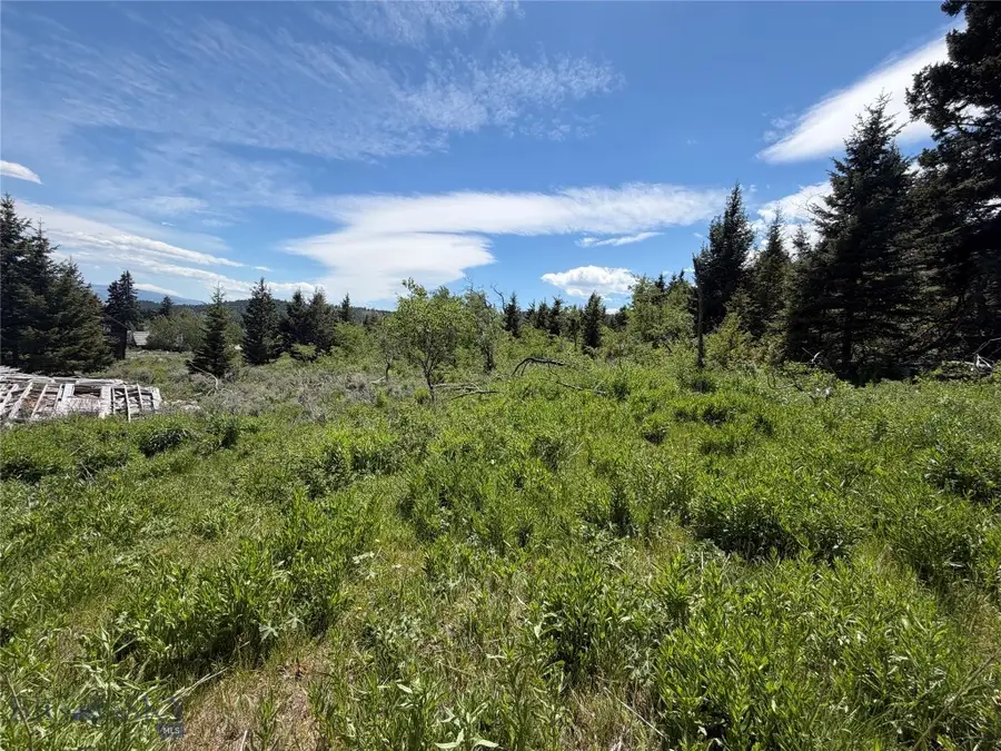 NHN Castle Town Road, White Sulphur Springs, MT 59645 - #3