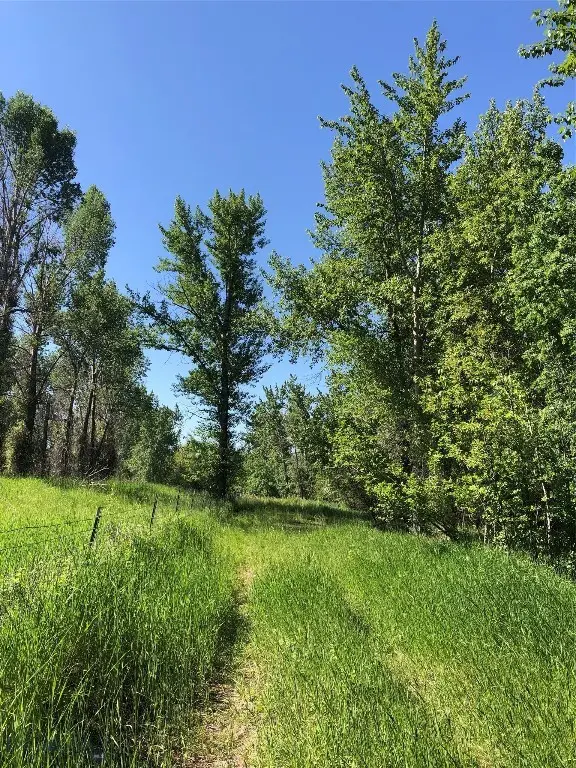 TBD Magenta, Bozeman, MT 59715 - #3