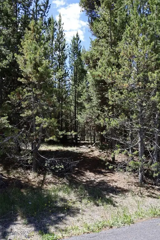 612 Apollinaris Avenue, West Yellowstone, MT 59758 - #3