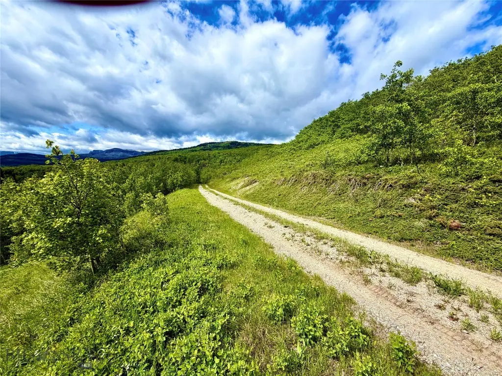 Lot 8 Arlie Tract, Babb, MT 59411 - #1
