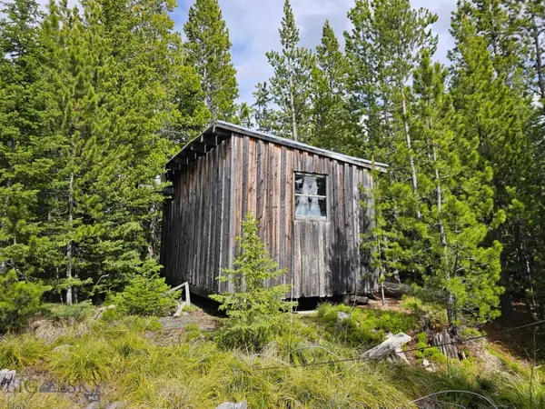 TBD Bullion Parks Road, Elliston, MT 59728