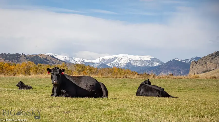 8 West Fork Road, Nye, MT 59061 - #2