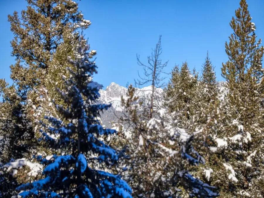 TBD Macks Road, Big Sky, MT 59716 - #3