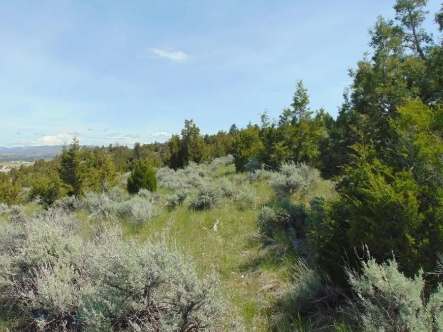 TBD Lone Wolf Trail, Three Forks, MT 59752 - #2