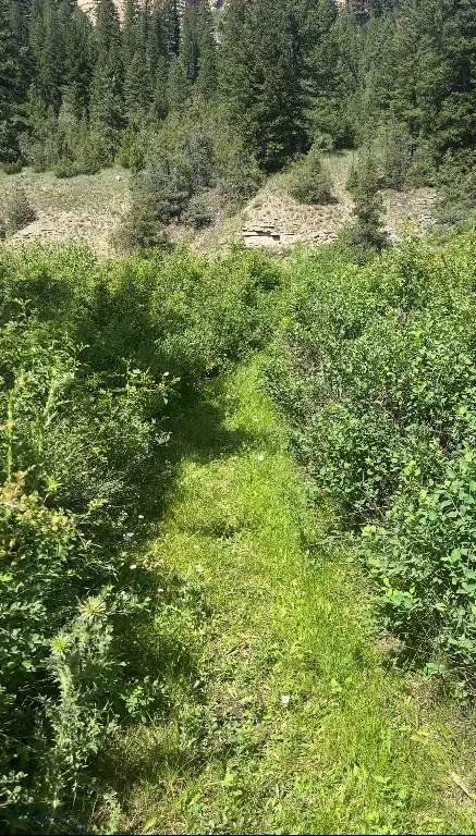 nhn Castle Bar Rd, White Sulphur Springs, MT 59645 - #3