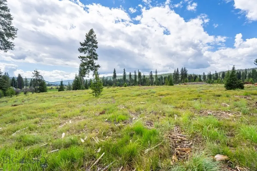 281 Daisy Lane, Seeley Lake, MT 59868 - #3