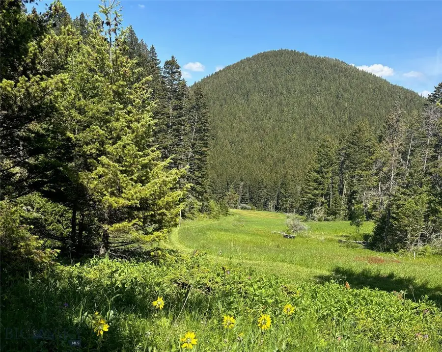 TBD Maiden Rd, Lewistown, MT 59457 - #2