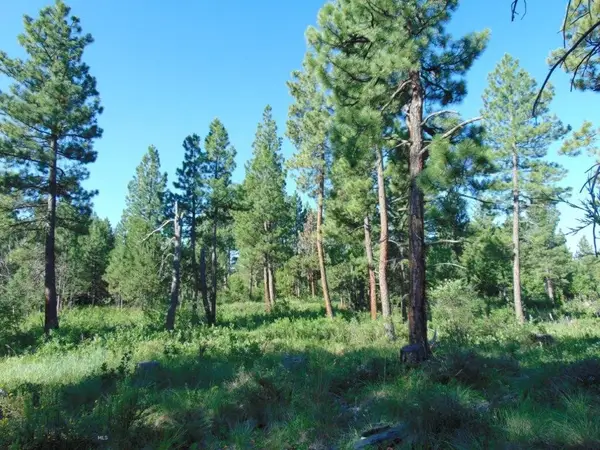 4615 Abe Lincoln, Lincoln, MT 59639
