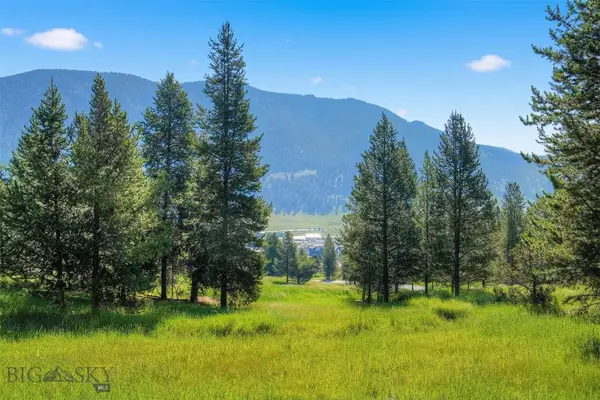 TBD Colters Run #13, Big Sky, MT 59730